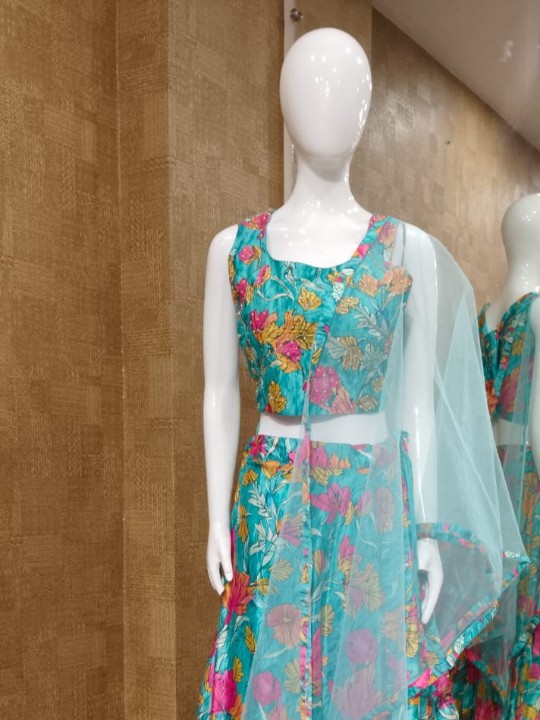Indo  Western Gown