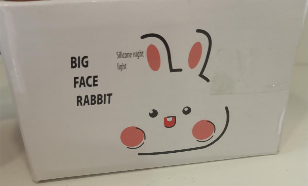 SLEEPING RABBIT LAMP