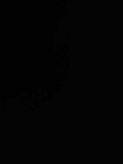 Heavy Work Lehenga for Evens