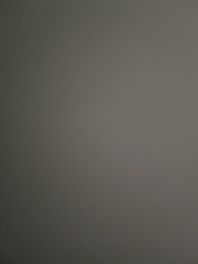 Heavy Work Lehenga for Evens